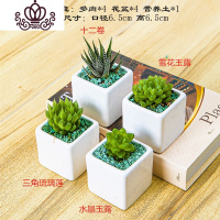 封后多肉植物含盆带土组合小盆栽室内肉肉花植物多肉花盆营养土绿植 多肉套组十,图示4颗 含盆