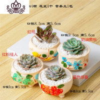 封后多肉植物含盆带土组合小盆栽室内肉肉花植物多肉花盆营养土绿植 白色多肉套装二十七 含盆