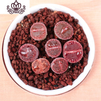 封后生石花屁股花绿色南非混合带盆带土石生花组盆多肉植物石pp花组合 日轮2年苗1颗 不含盆盆栽