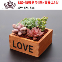 封后多肉植物组合盆栽桃蛋生石花套餐稀有品种法师老桩 木制正方形花盆+肉肉6颗,送土 不含盆