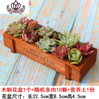 封后多肉植物组合盆栽桃蛋生石花套餐稀有品种法师老桩 木制长方形花盆+肉肉10颗,送土 不含盆