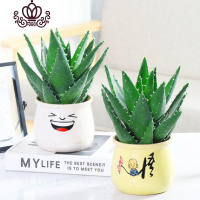 封后不夜城芦荟盆栽室内盆栽净化空气多肉植物花卉办公室桌面盆栽植物 [白色笑脸马卡龙+夜城 不含盆