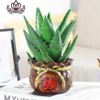 封后不夜城芦荟盆栽室内盆栽净化空气多肉植物花卉办公室桌面盆栽植物 芦荟3年苗 含盆