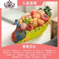 封后多肉植物组合套餐新手肉肉植物多肉花盆老桩花卉盆栽植物买3免1 孔雀盆套餐 不含盆