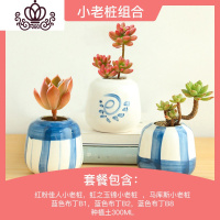 封后多肉植物组合套餐新手肉肉植物多肉花盆老桩花卉盆栽植物买3免1 小老桩组合(含盆含土) 不含盆