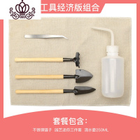 封后多肉植物组合套餐新手肉肉植物多肉花盆老桩花卉盆栽植物买3免1 工具经济版组合 不含盆