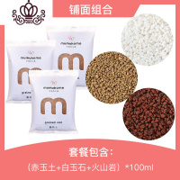 封后多肉植物组合套餐新手肉肉植物多肉花盆老桩花卉盆栽植物买3免1 铺面组合 不含盆