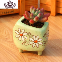 封后新款多肉植物组合盆栽肉肉植物肉嘟嘟室内多肉套餐带盆带土小盆栽 乙女心+营养土+韩绘小款绿色 含盆