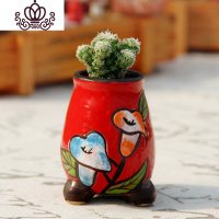 封后新款多肉植物组合盆栽肉肉植物肉嘟嘟室内多肉套餐带盆带土小盆栽 白鸟+营养土+新拇指红色 含盆