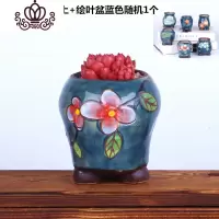 封后新款多肉植物组合盆栽肉肉植物肉嘟嘟室内多肉套餐带盆带土小盆栽 红宝石+营养土+绘叶盆蓝色随机一个 含盆