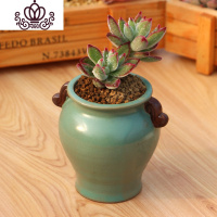 封后新款多肉植物组合盆栽肉肉植物肉嘟嘟室内多肉套餐带盆带土小盆栽 锦晃星+营养土+高双耳蓝 含盆