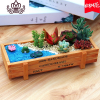 封后新款多肉植物组合盆栽含盆含土肉肉植物多肉植物新手套餐植物肉肉 池塘荷叶(多肉+木盒+摆件+营养土) 含盆