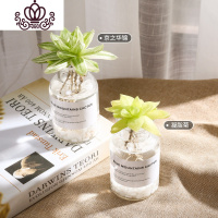 封后水养玉露多肉植物组合套餐北欧办公室内送水培瓶萌肉姬玉露水晶寿 (京之华锦-凝脂菊)送水培瓶*2+大理石 含盆盆栽