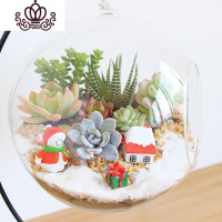 封后多肉植物创意微景观多肉组合盆栽肉肉拼盘套装DIY 下雪了(15CM+铁架) 含盆