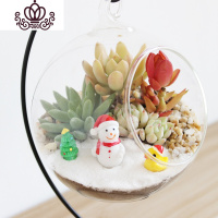 封后多肉植物创意微景观多肉组合盆栽肉肉拼盘套装DIY 初雪(12CM+铁架) 含盆
