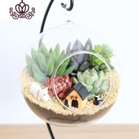 封后多肉植物创意微景观多肉组合盆栽肉肉拼盘套装DIY 后花园(12CM+铁架) 含盆
