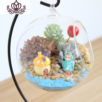 封后多肉植物创意微景观多肉组合盆栽肉肉拼盘套装DIY 小小姑娘(10CM+铁架) 含盆