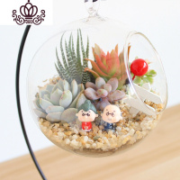 封后多肉植物创意微景观多肉组合盆栽肉肉拼盘套装DIY 幸福到老(12CM+铁架) 含盆