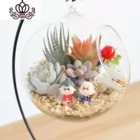 封后多肉植物创意微景观多肉组合盆栽肉肉拼盘套装DIY 幸福到老(12CM+铁架) 含盆