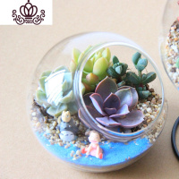 封后多肉植物创意微景观多肉组合盆栽肉肉拼盘套装DIY 无肉不欢(12CM) 含盆