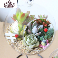 封后多肉植物创意微景观多肉组合盆栽肉肉拼盘套装DIY 春暖花开(15CM+铁架) 含盆