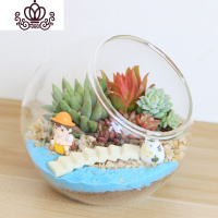 封后多肉植物创意微景观多肉组合盆栽肉肉拼盘套装DIY 梦境(12CM) 含盆