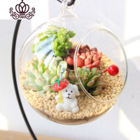 封后多肉植物创意微景观多肉组合盆栽肉肉拼盘套装DIY 萌宠(10CM+铁架) 含盆