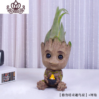 封后空气凤梨懒人无土植物多肉花卉树人格鲁特盆栽Groot花盆绿植花卉 鸟窝+巨型犀牛角 含盆