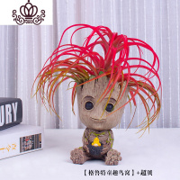 封后空气凤梨懒人无土植物多肉花卉树人格鲁特盆栽Groot花盆绿植花卉 鸟窝+超贝 含盆