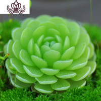 封后爱丝捕虫堇食虫植物食人花捕蝇多肉稀有贵货花卉盆栽吃 爱丝(植株直径:3厘米)塑料盆种好发 含盆