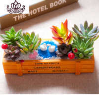 封后多肉植物 新手套餐组合盆栽室内办公室含盆花卉绿植肉肉创意节日 天鹅湖 含盆