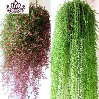 封后多肉植物佛珠吊兰盆栽垂吊紫玄月 吊兰 特大 紫玄月多肉 佛珠多肉 佛珠(约8株)+紫玄月(约6株) 不含盆