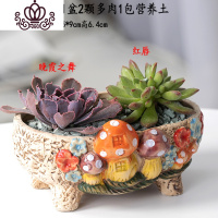 封后多肉植物含盆带土组合套装盆栽肉肉营养植物多肉花盆室内花器 图示多肉含盆8 含盆