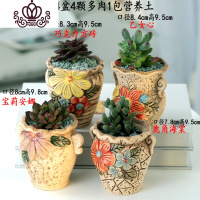 封后多肉植物含盆带土组合套装盆栽肉肉营养植物多肉花盆室内花器 图示多肉含盆23 含盆