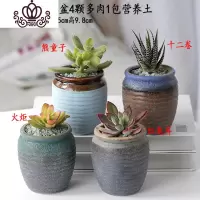 封后多肉植物含盆带土组合套装盆栽肉肉营养植物多肉花盆室内花器 深灰色图示多肉含盆30 含盆