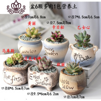 封后多肉植物含盆带土组合套装盆栽肉肉营养植物多肉花盆室内花器 粉红色图示多肉含盆36 含盆