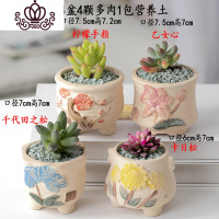 封后多肉植物含盆带土组合套装盆栽肉肉营养植物多肉花盆室内花器 银色图示多肉含盆32 含盆