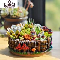 封后多肉植物带盆多肉组合盆栽拼盘组合女神节成品顺丰 兔子一家[17x5.5cm] 带盆栽好