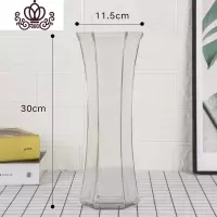 封后室内水养植物水培富贵竹观音竹绿植盆栽竹节节高客厅花卉 六角平光玻璃瓶 不含盆