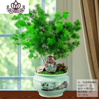 封后蓬莱松盆栽室内好养花卉四季常青植物生肖猴年桌面绿植小盆景 运、蓬莱松+沙弥 带盆栽好