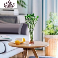 封后富贵竹水培植物室内花卉盆栽办公室水养绿植园艺节节高观音竹 竹十株(三款玻璃瓶随机发货) 带盆栽好