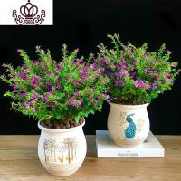 封后满天星盆栽开花植物室内阳台花卉带花苞观花植物桌面绿植四季常青 满天星+孔雀开屏+森林小鹿(大) 带盆栽好