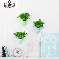 封后绿航 绿萝盆栽植物室内花卉水培好养客厅挂墙上花盆壁挂创意绿植 3盆装90壁挂绿萝/彩色 带盆栽好