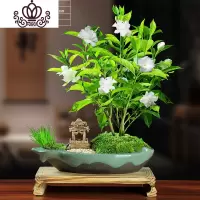封后丁香花树苗花卉盆栽阳台好养室内花绿植室外四季开花不断易活植物 笼月丁香花+亭子+木底座带花苞发货 带盆栽好