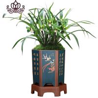 封后春兰盆栽花卉植物室内绿植园艺花种好养盆景兰 4号磨砂花盆+托盘 不含盆