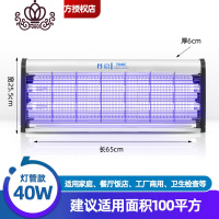 封后灯管ED灭蝇灯餐厅器电蚊灯防蚊灯苍蝇诱蚊 加厚灯架[配送佛山灯管]40瓦灭蚊灯