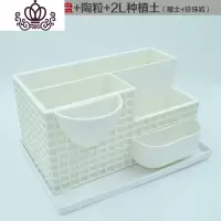 封后创意个性多肉盆北欧风多肉植物花盆肉肉盆树脂塑料长方形大号 花盆+托盘+珍珠岩陶粒椰土 大花盆容器