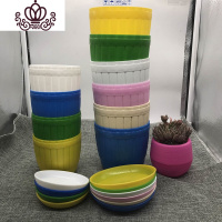 封后多肉植物专用花盆彩虹石丸花盆储水塑料花盆6色24个 木桶中号6色小号木桶4色 小花盆容器