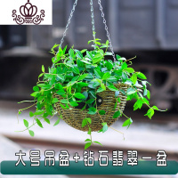 封后吊篮花盆 绿萝编 吊盆 垂吊 盆 吊花盆 悬挂 式 吊兰花盆 大号草编吊篮+钻石翡翠一盆 中等花盆容器