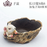 封后大号特大号口径蘑菇房子小号可爱少女心延禧微景观多肉花盆器拼盘 好可爱兔子盆 中等花盆容器